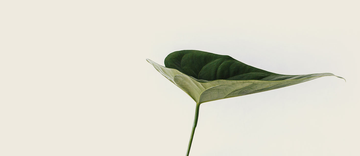 Kairos Compensation - Opérateur de compensation biodiversité